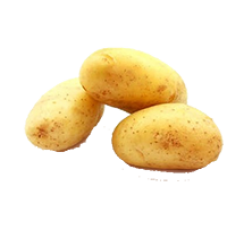 Melody Yemeklik Patates
